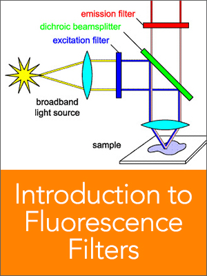 introduction to fluorescence filters