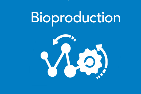 bioproduction block