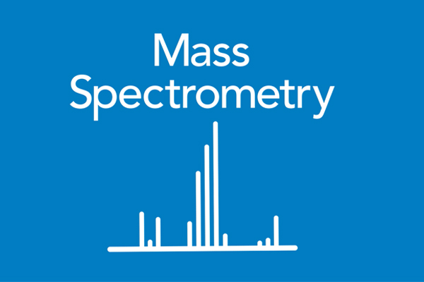 mass spectrometry block
