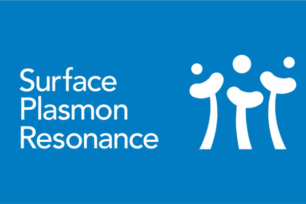 surface plasma resonance block