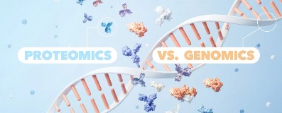 what is difference between proteomics and genomics?