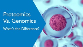 what's the difference between proteomics and genomics?