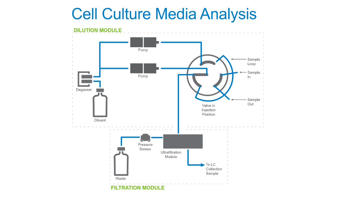 cell culture media analysis