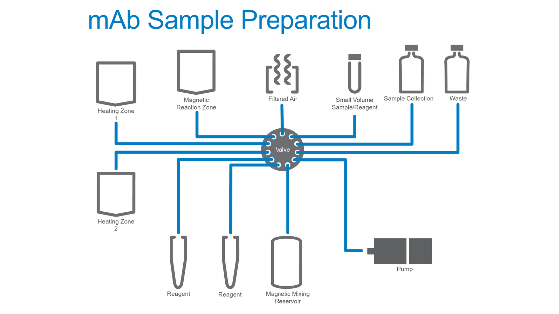 mAb sample preparation