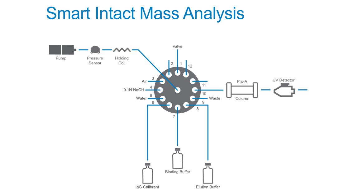 smart intact mass analysis