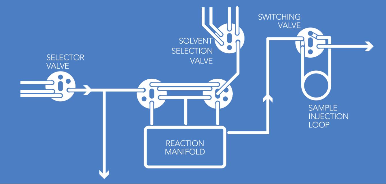 sample processing and reaction flow path