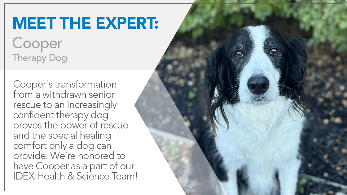Meet Cooper: Therapy Dog