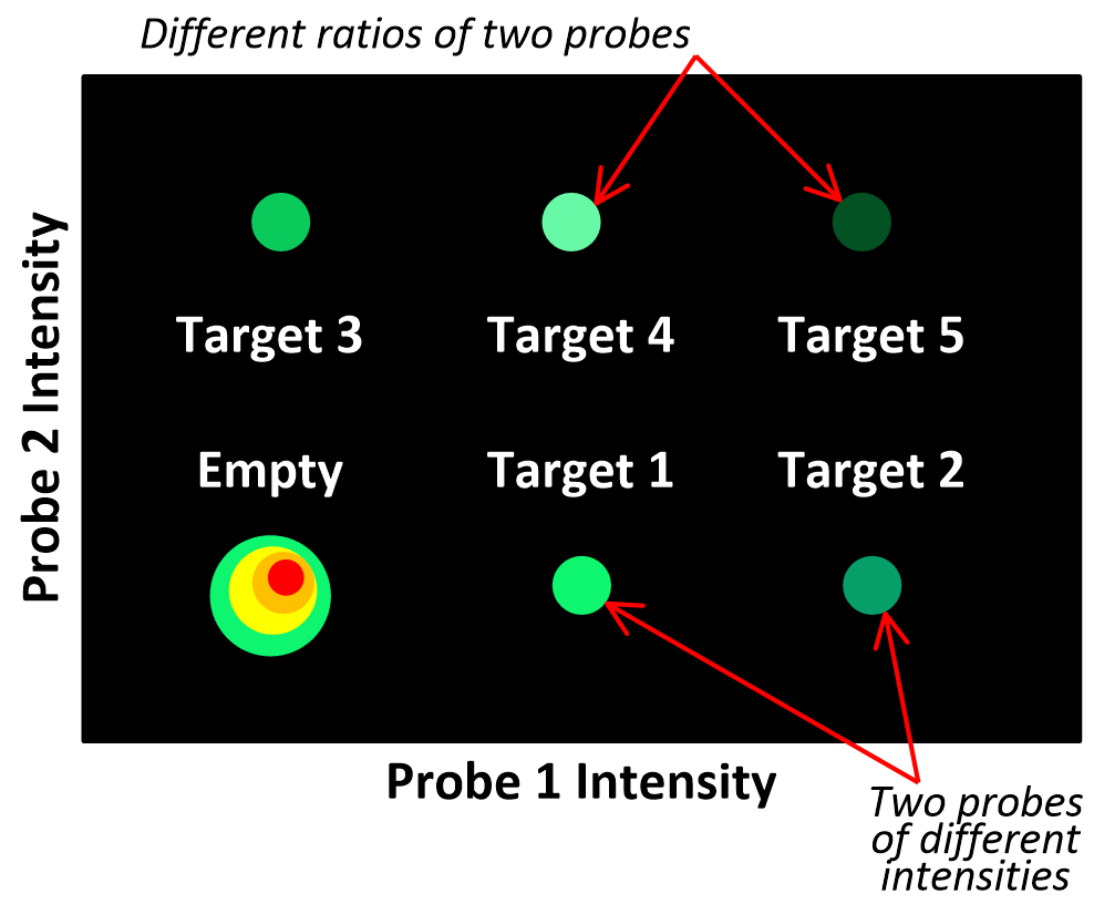 dPCR probe signals