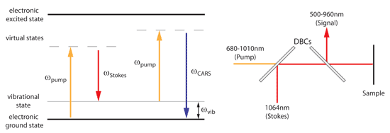 energy diagram for 6 coherent anti raman scattering signals and an experimental set-up for these signals