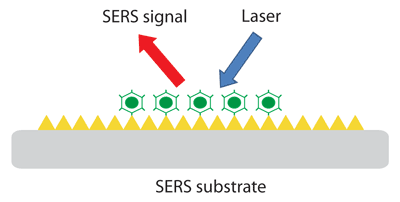 how surface-enhanced raman scattering (SERS) works