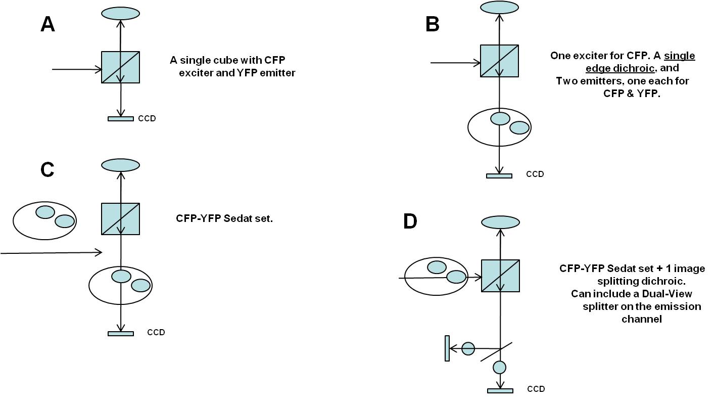 FRET configurations