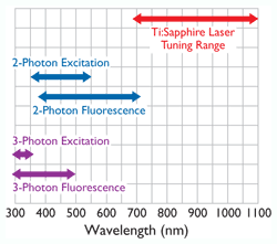 Multiphoton microscope spectrum