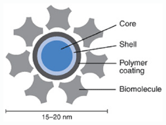 nanocrystal structure