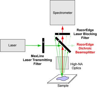 raman spectroscopy layout where the incident beam and signal light share the same path