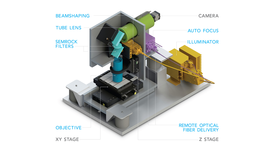Source to Sensor Fluorescence Imaging System