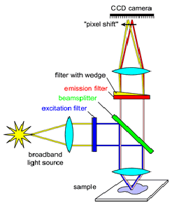 epifluorescence geometry schematic