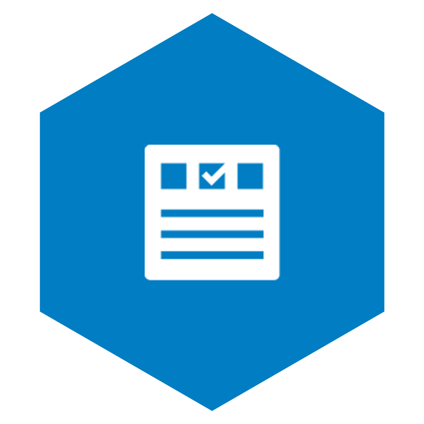 custom solutions icon