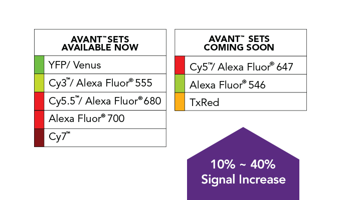 Avant Sets available and coming soon