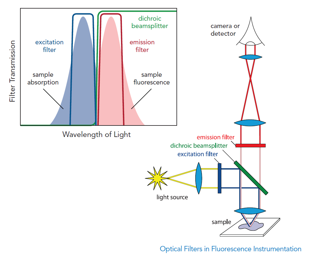 optical filters in fluorescence instrumentation