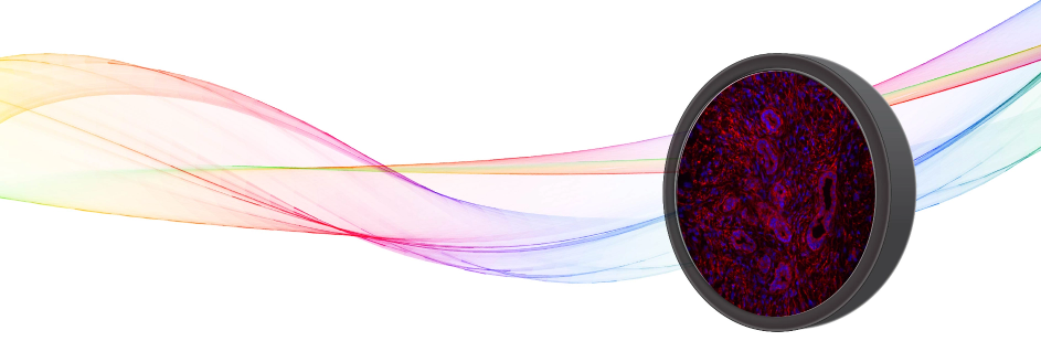 Semrock BrightLine Basic filter sets for fluorescence imaging