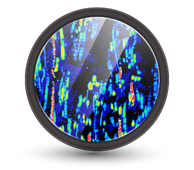 BrightLine 2.0 filter