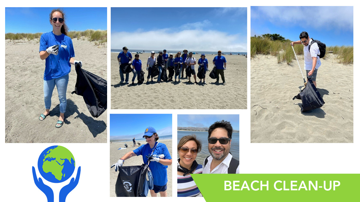 beach clean up in rohnert park, ca