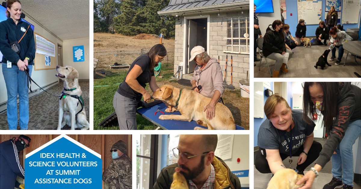 Oak Harbor team volunteers at Summit Assistance Dogs
