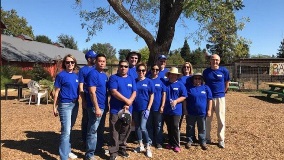 bayer farm volunteers