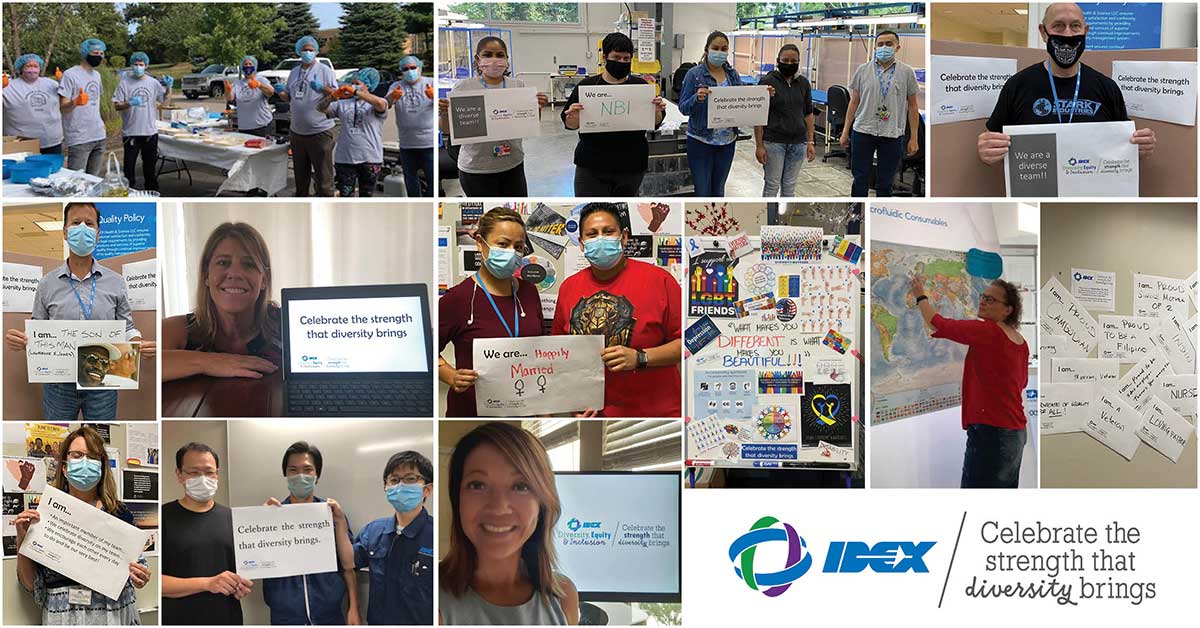 examples of how the team celebrated diversity, equity, and inclusion