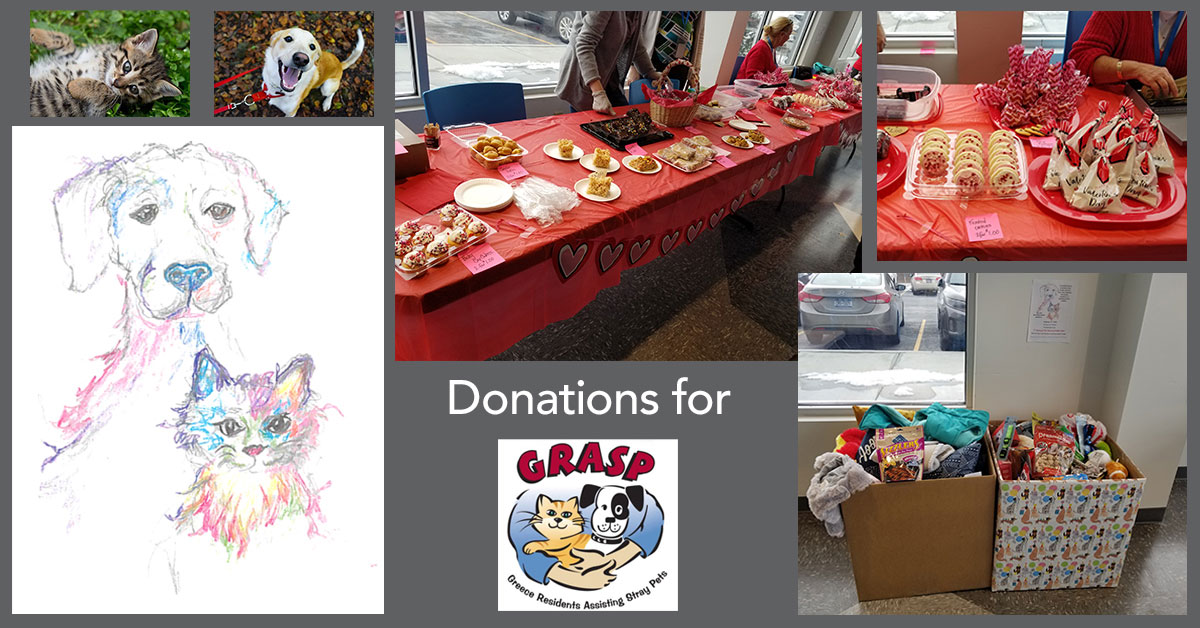 raising donations for local pet rescue, GRASP