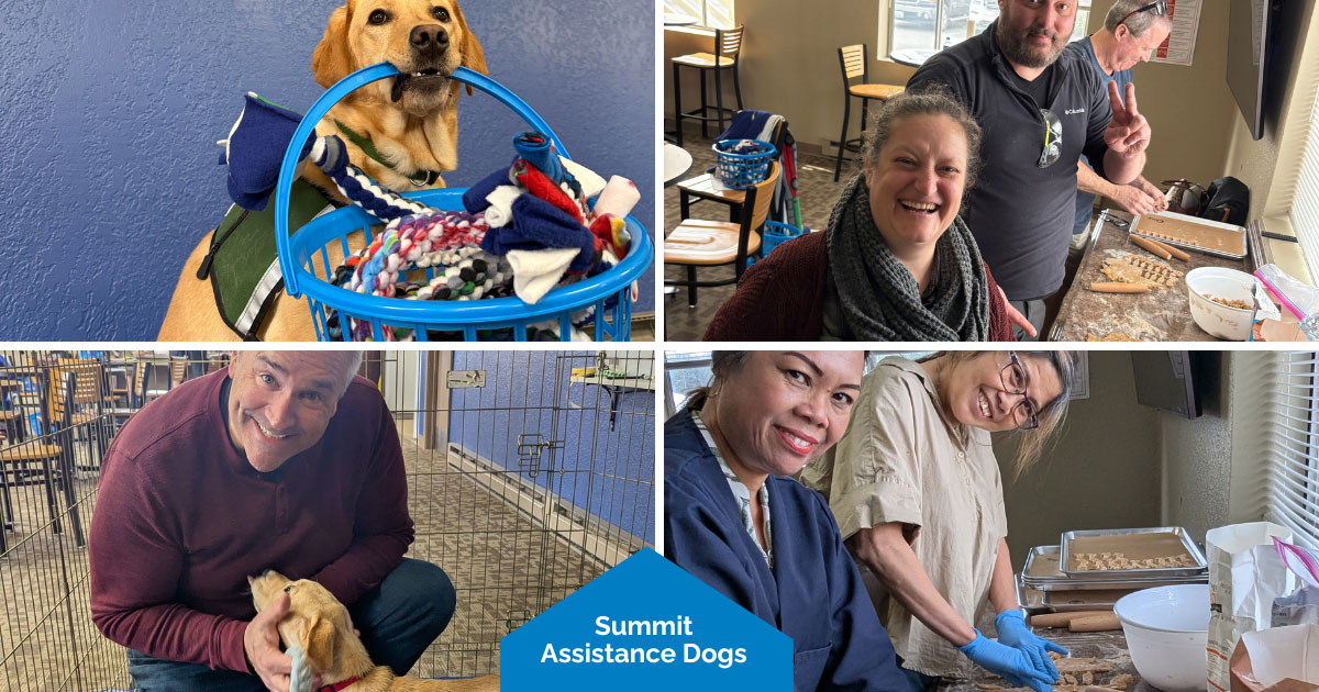 Puppy Day: Summit Assistance Dogs 