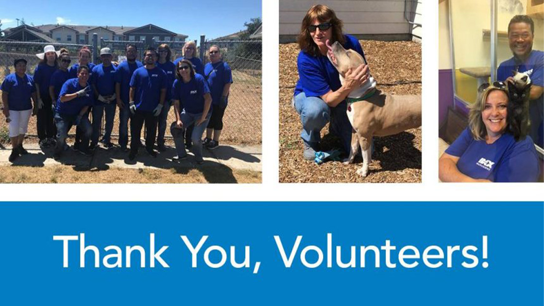 rohnert park, ca animal shelter volunteers