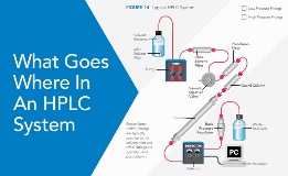what goes where in an HPLC system