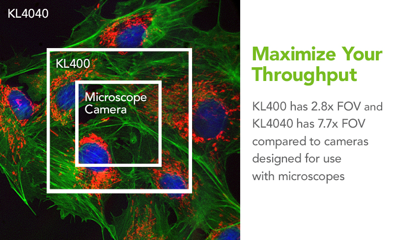 Compare field of view with cameras versus microscope camera