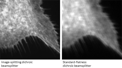 compare flatness of image-splitting dichroic beamsplitter to standard dichroic beamsplitter