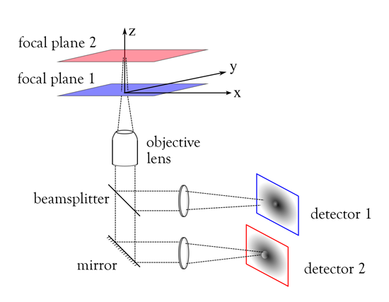 view 2 focal planes with a multifocial plan microscope