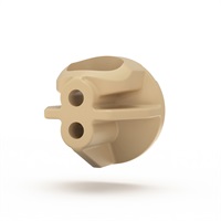 Bottom-of-the-Bottle™ Filter Assembly (Small Neck) PEEK 10µm