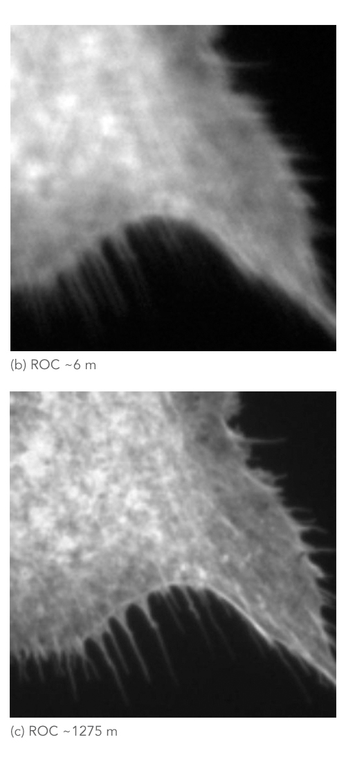 Figure 3 b,c - F-actin bovine pulmonary artery endothelial cells image output on a BX41 microscope