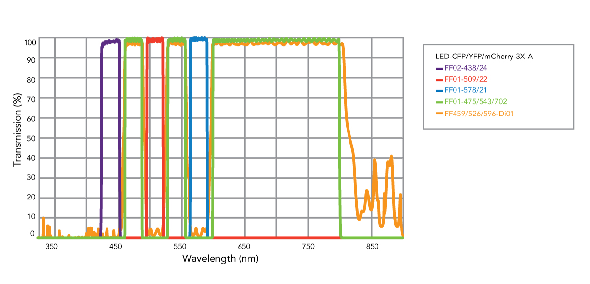 BrightLine Figure 3b