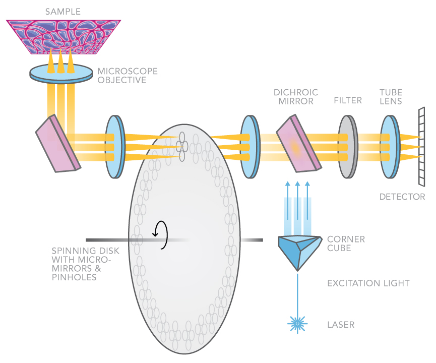 Figure 5 Illuminate the Sample laser beam is used to illuminate the sample in a particular way and a camera is used in detection
