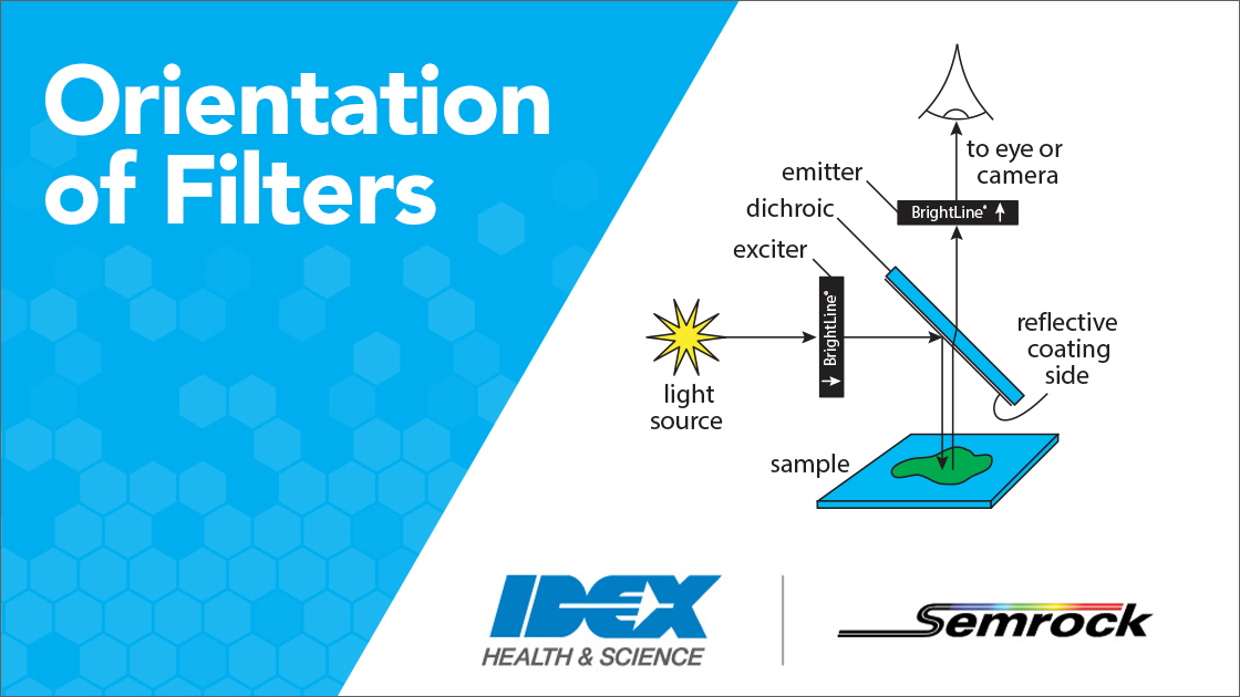 Filter Orientation Header