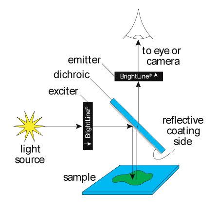 Filter Orientation