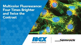 multicolor fluorescence: four times brighter and twice the contrast