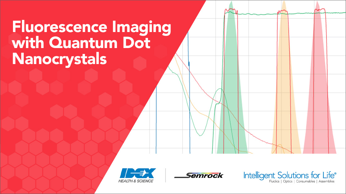 Fluorescence Imaging with Quantum Dot Nanocrystals graph