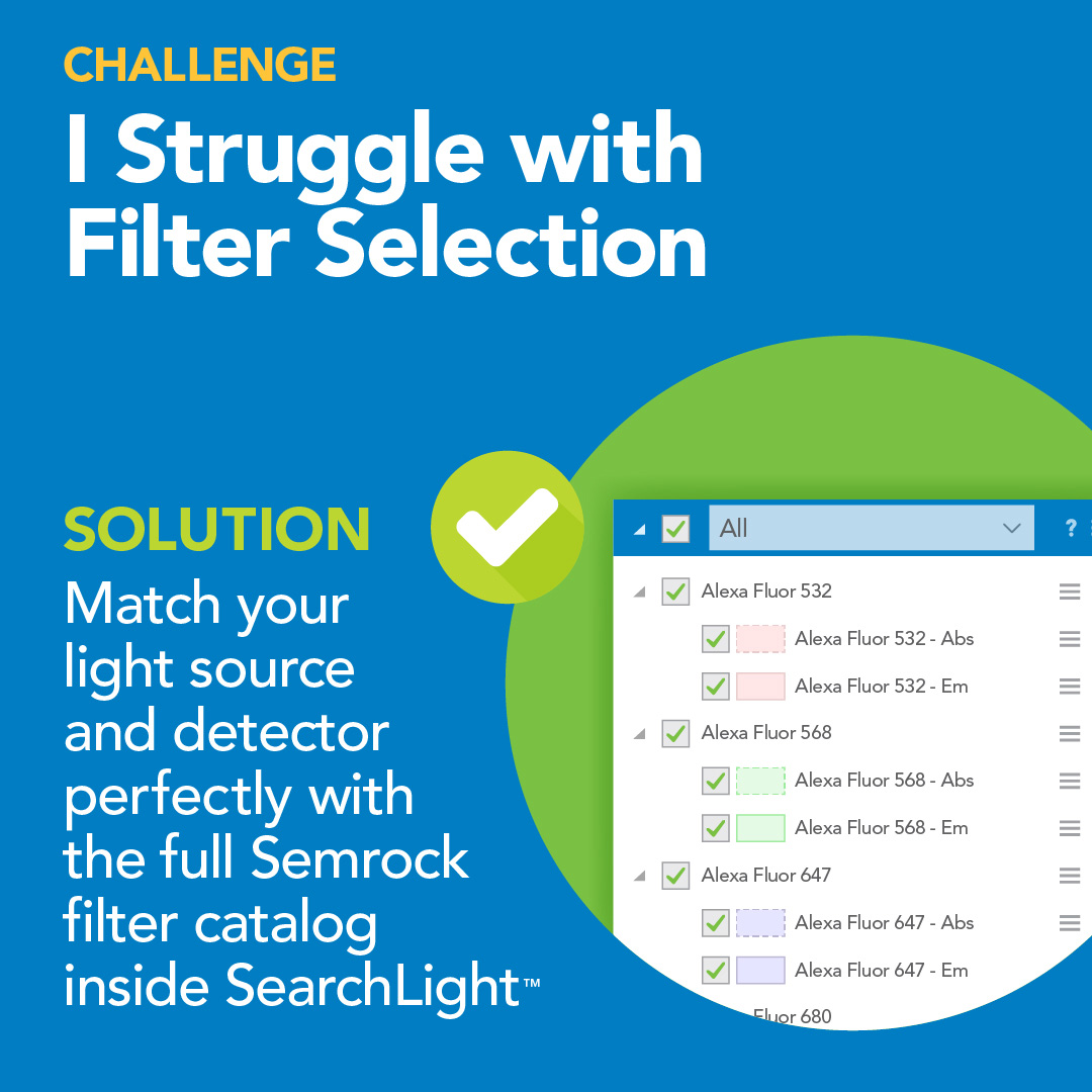 Challenge#2: Struggling with Filter Selection