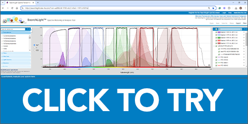 Click to Try SearchLight: Session 1