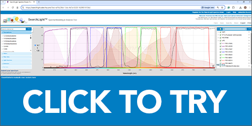 Click to Try SearchLight: Session 2