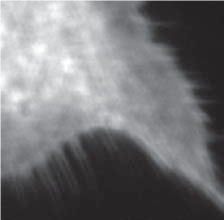 deviations from flatness have an effect on reflected wavefront error - the focal plane may shift position