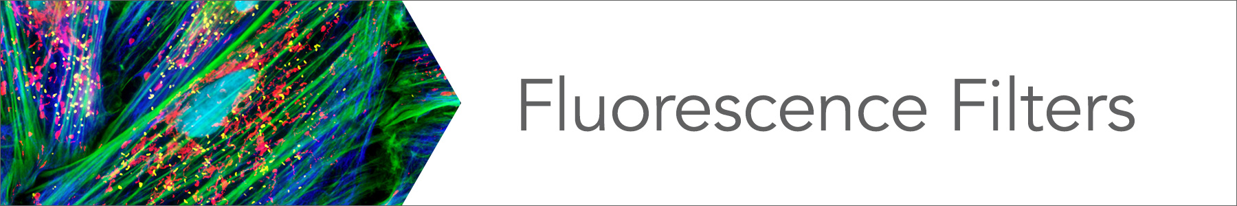 fluorescence filters