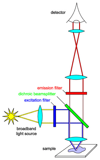 fluorescence instrument